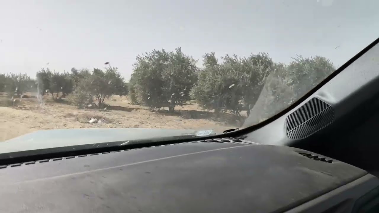 شرح قانون تقنين الاراضي الجديد قانون 168 لسنه 2025 الخاص بالاراضي الصحراويه و الاستصلاح الزراعي 