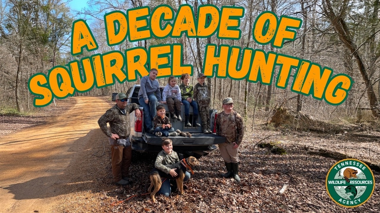 A Decade of Squirrel Hunting