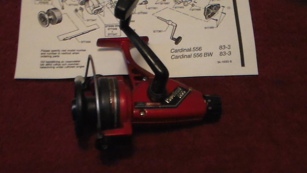 YoungMartin’sReels — Лучшая разборка, чистка, смазка и сборка катушки ABU Garcia Cardinal 556