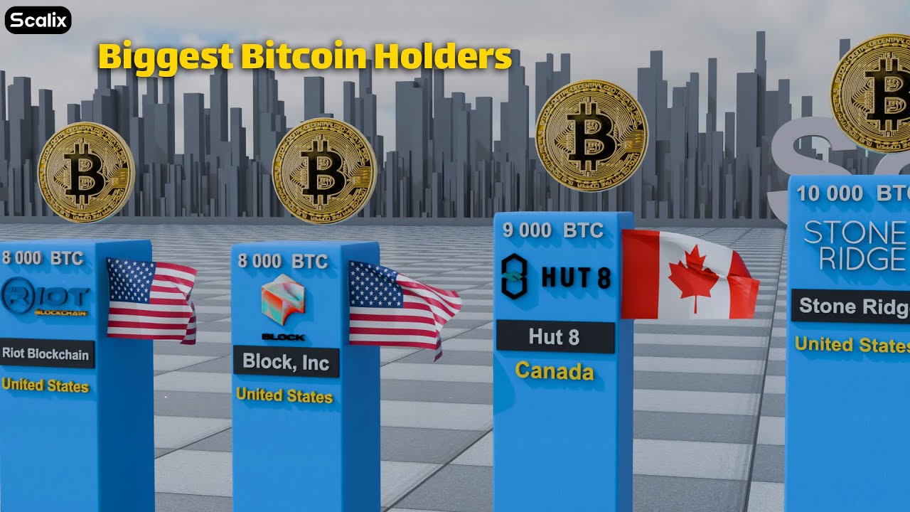 Biggest Bitcoin Holders in 2025 Revealed | Top Crypto Whales