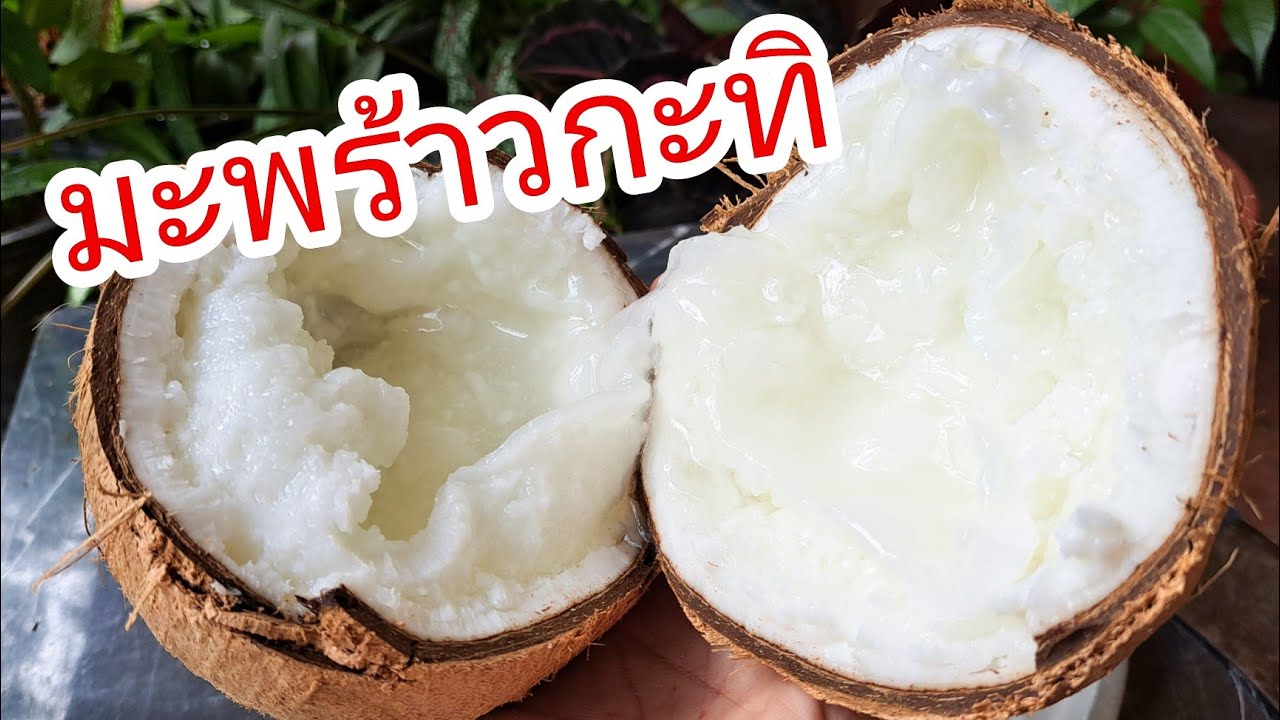 มะพร้าวกะทิ กันยังไงให้อร่อย เคล็ดลับเนื้อฟูนุ่ม |แค่เลchannel