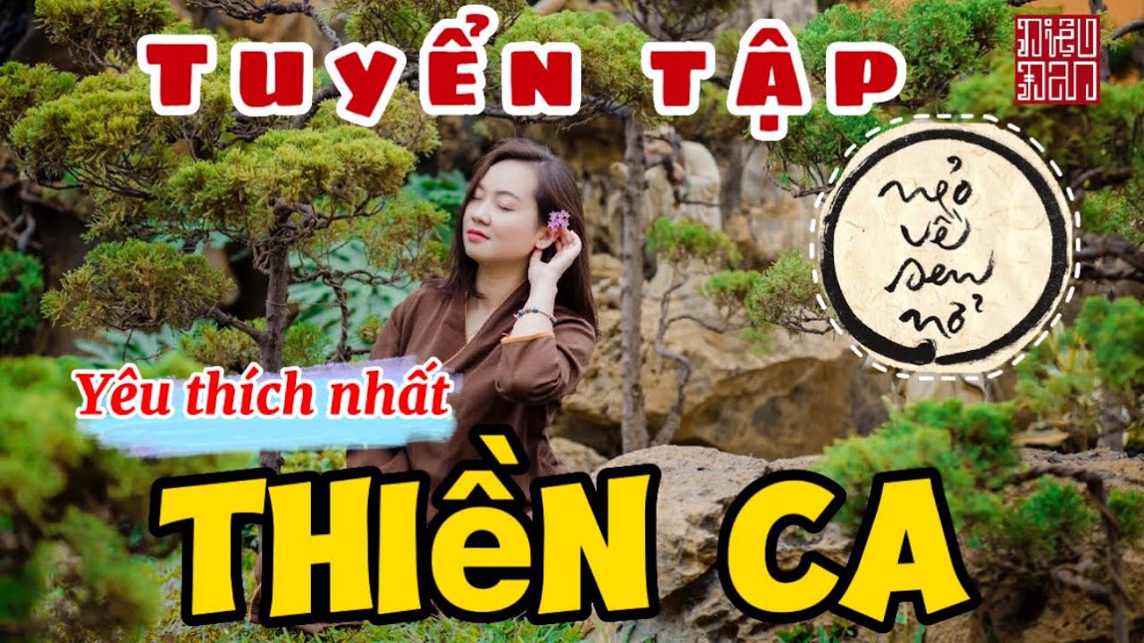 Thiền ca • Nẻo về sen nở | Tuyển tập được yêu thích nhất || Diệu Đan