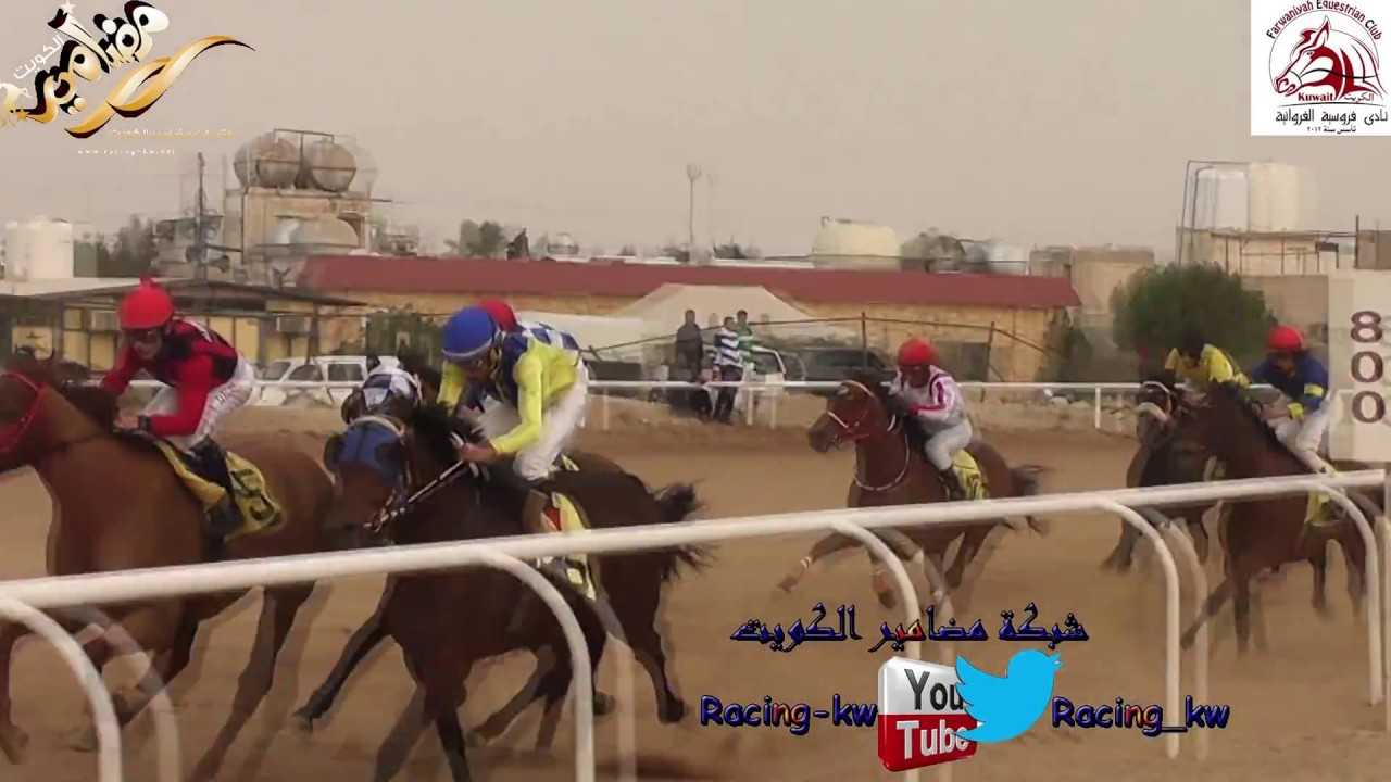 الهارف لاسطبل السيحان