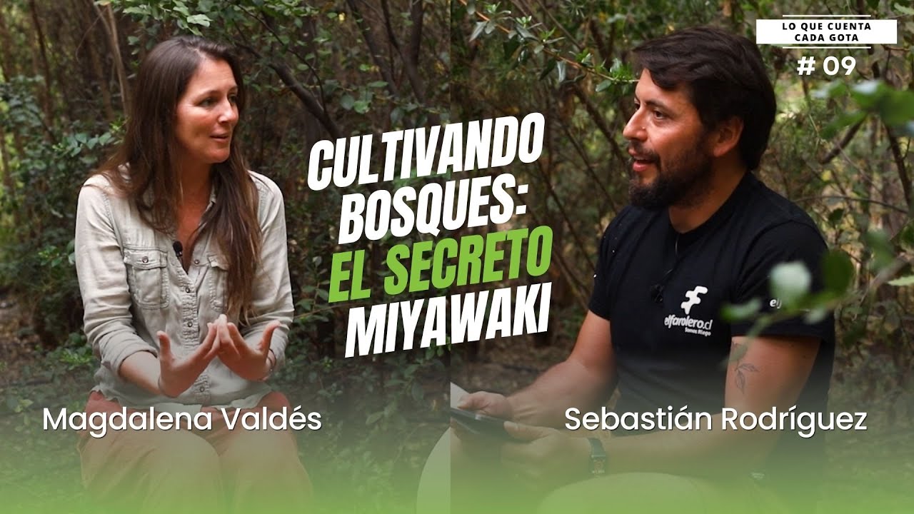 Capítulo 9: Cultivando bosques, el secreto Miyawaki