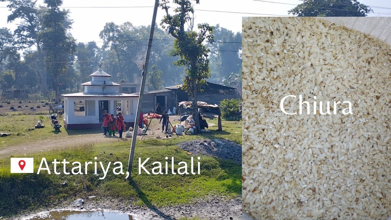 चिउरा (Chiura) || flattened rice || Beaten rice making process in Kailali, Nepal
