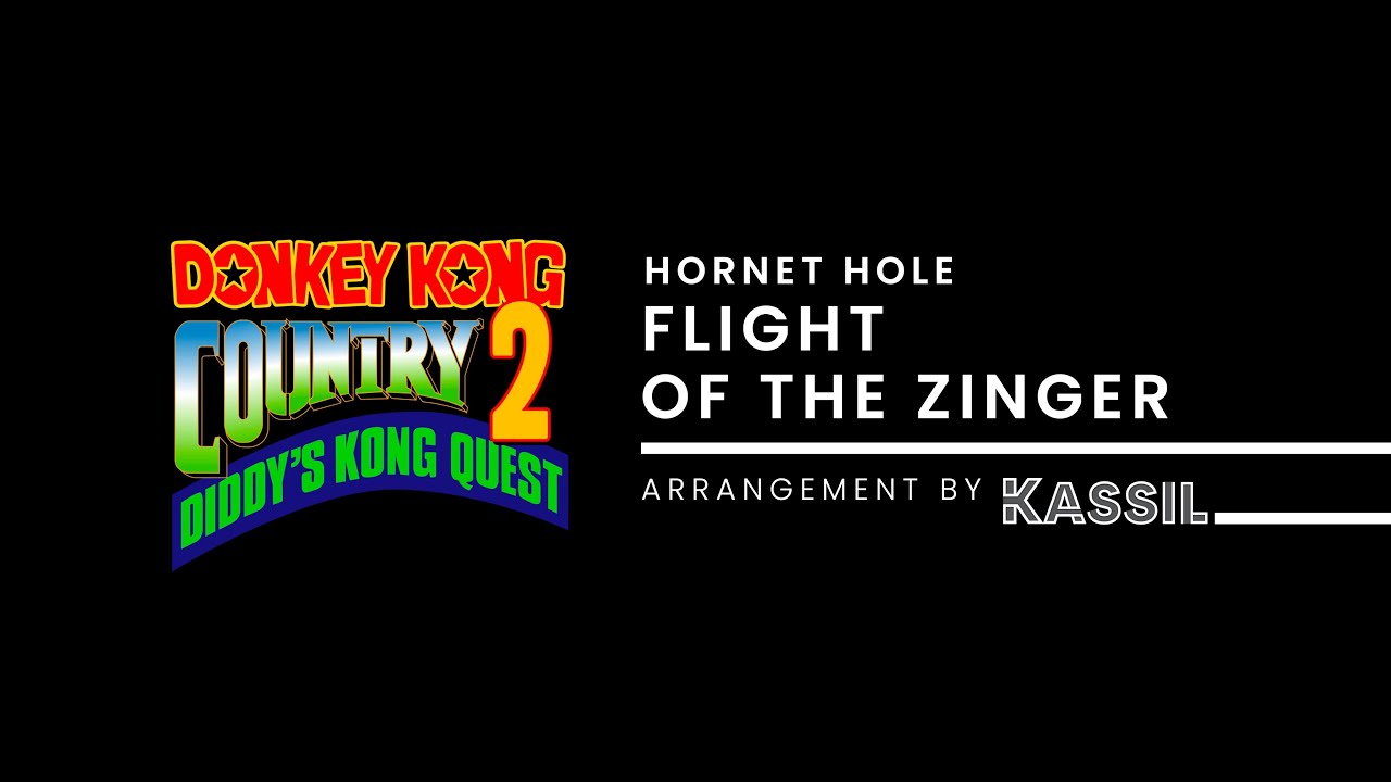 Donkey Kong Country 2 | Hornet Hole 
