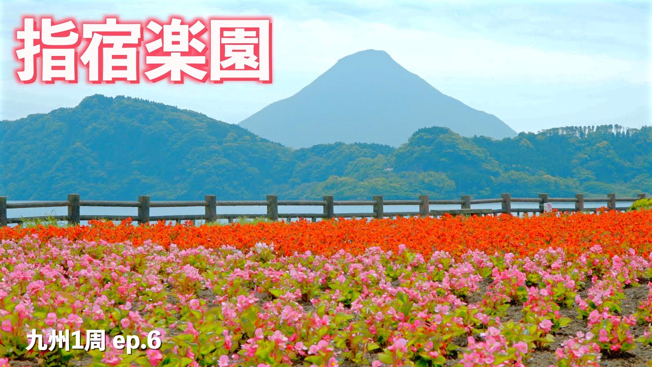 【九州1周】砂むしに絶景温泉に絶品カツオに最高のお茶!!最高すぎて気絶寸前!!｜指宿｜知覧｜ドライブ｜田舎暮らし｜鹿児島県｜4K