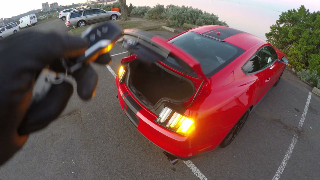 Steeda Mustang Trunk Pop Kit (2015 - 2021)