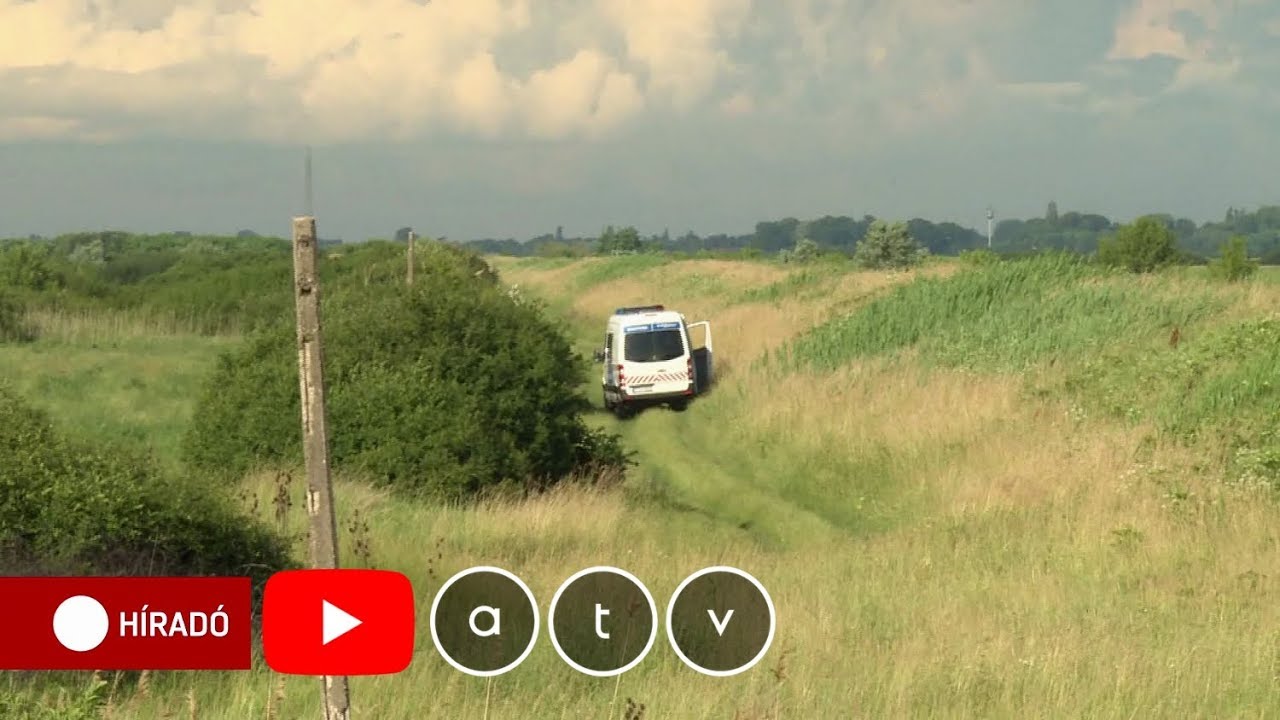 Előzetes letartóztatásba helyezték a nőt, aki megszülte gyerekét, majd egy bokorban hagyta meghalni