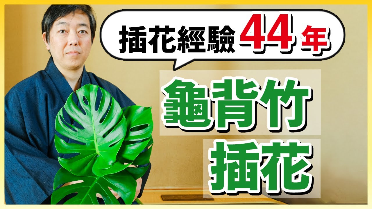 插花教學｜当44年插花经验的花道家遇见龟背竹