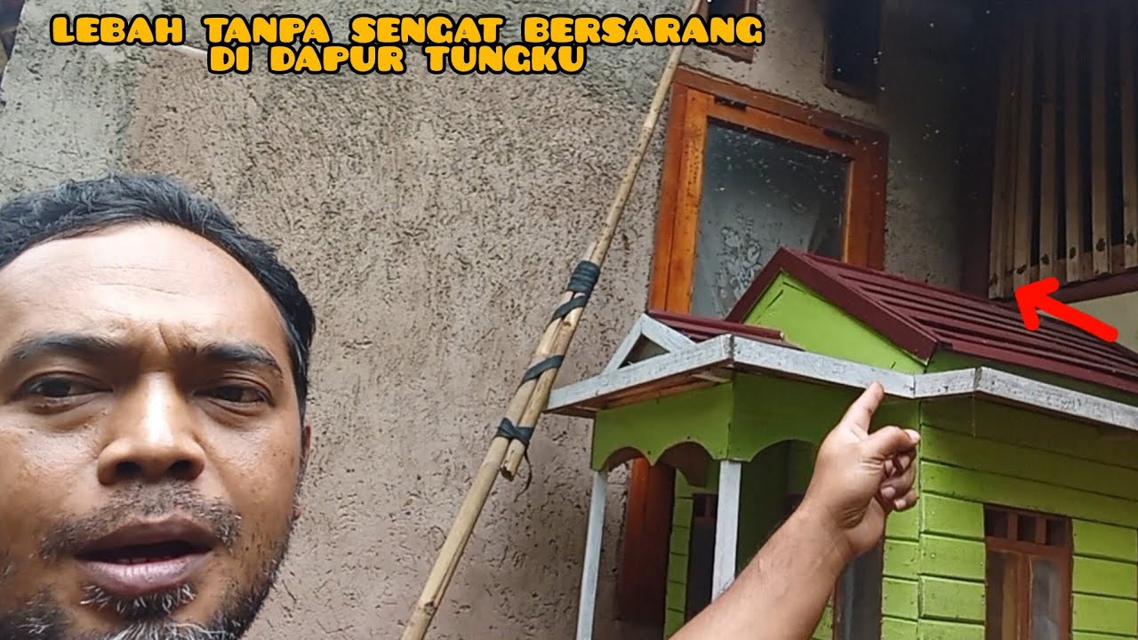 Ada lebah tanpa sengat bersarang di tiang bambu dapur tungku