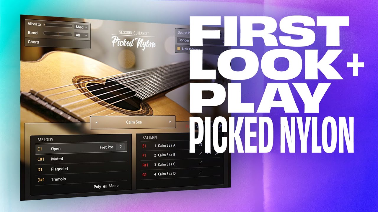 Picked Nylon by Native Instruments | First Look + Walkthrough