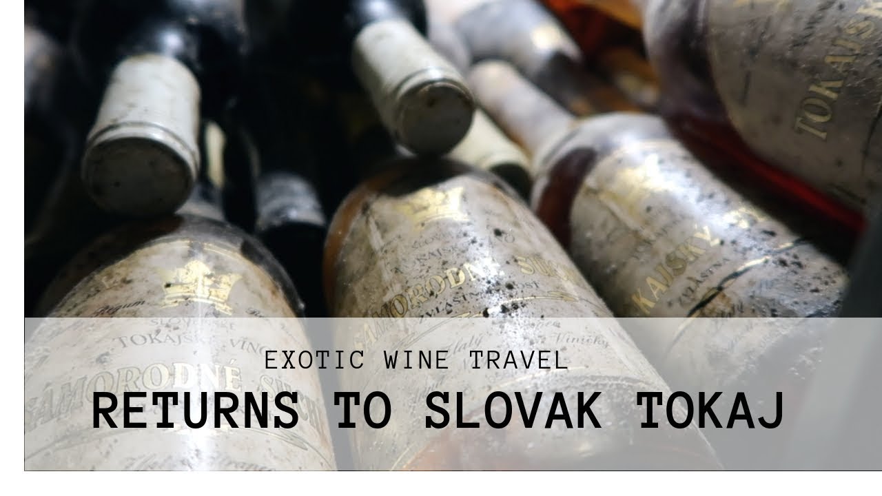 Exotic Wine Travel Returns To Slovak Tokaj