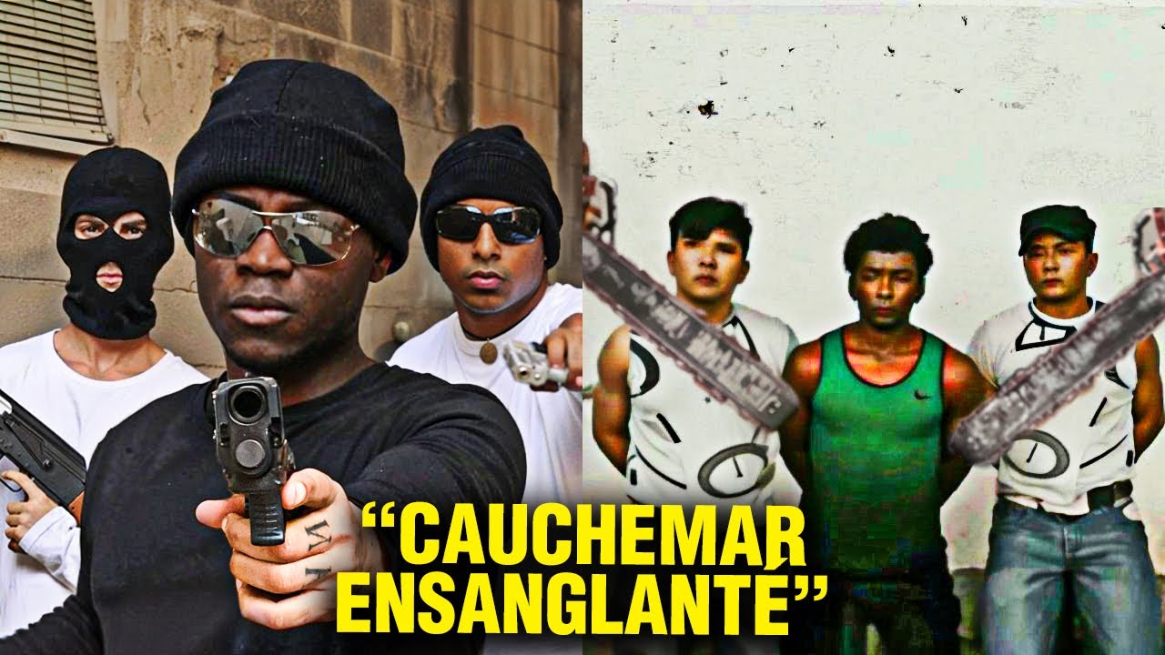 5 Fois Où Les Gangs Ont Joué Avec Les Mauvais Cartels
