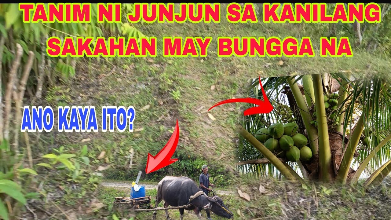 ALAGANG HAYOP NI JUNJUN ANG BAIT #pbteamdavao #pugongbyahero 