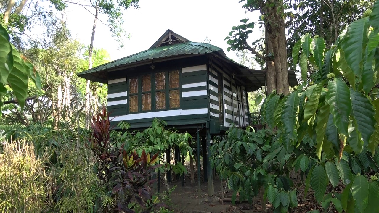 resorts near tholpetty wild life sanctuary