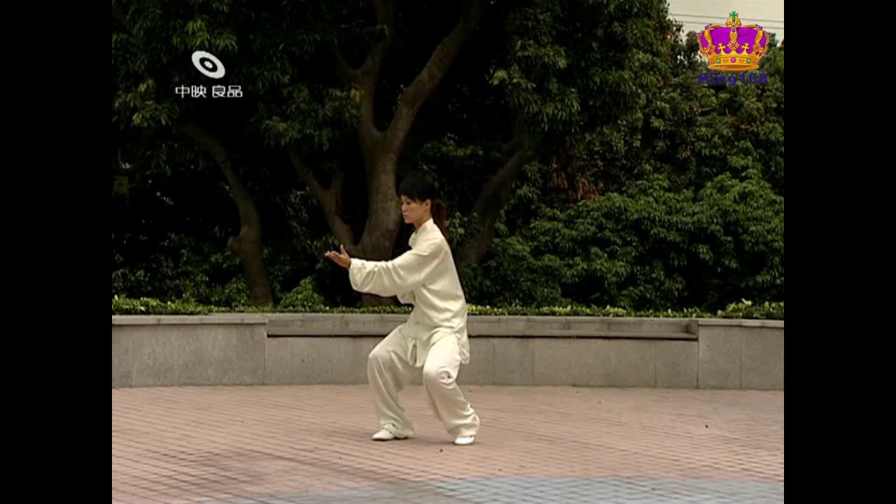 馬暢~陳式太極基礎22式全套示範 Chen style 22 form Tai Chi tutorial