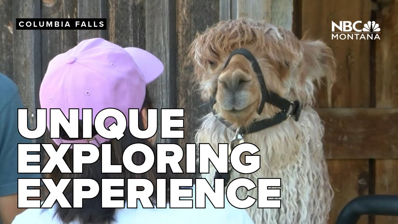 Great Northern Llama Company brings unique outdoor experience to the public