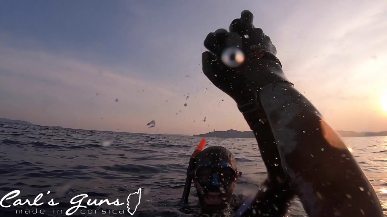 Chasse sous marine été 2019 Carl's guns et Bonus 2 Requins