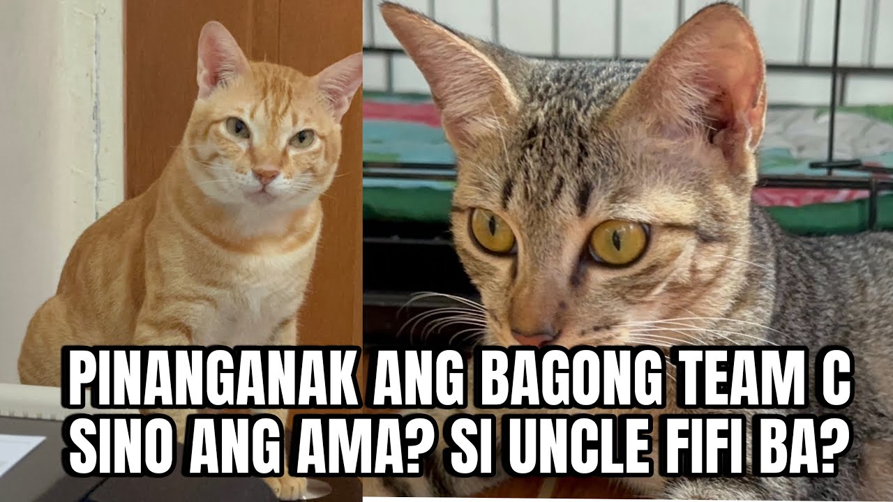PINANGANAK ANG BAGONG TEAM C | momarenyann
