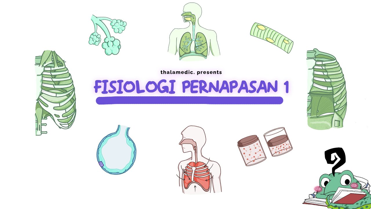 FISIOLOGI PERNAFASAN 1 | Yuk review kembali fisiologi pernafasan pada manusia