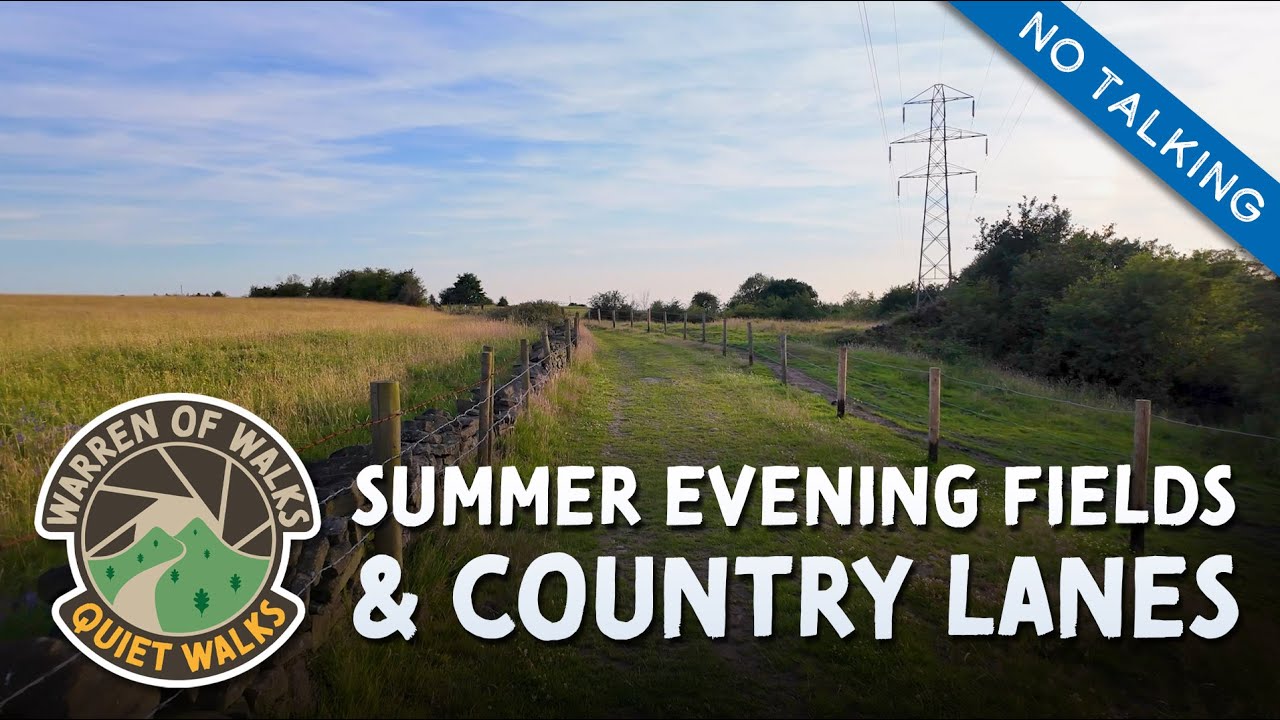 WALKING TOUR - Summer fields and lanes ☀️ A peaceful Evening walk in Godley and Matley 🌳