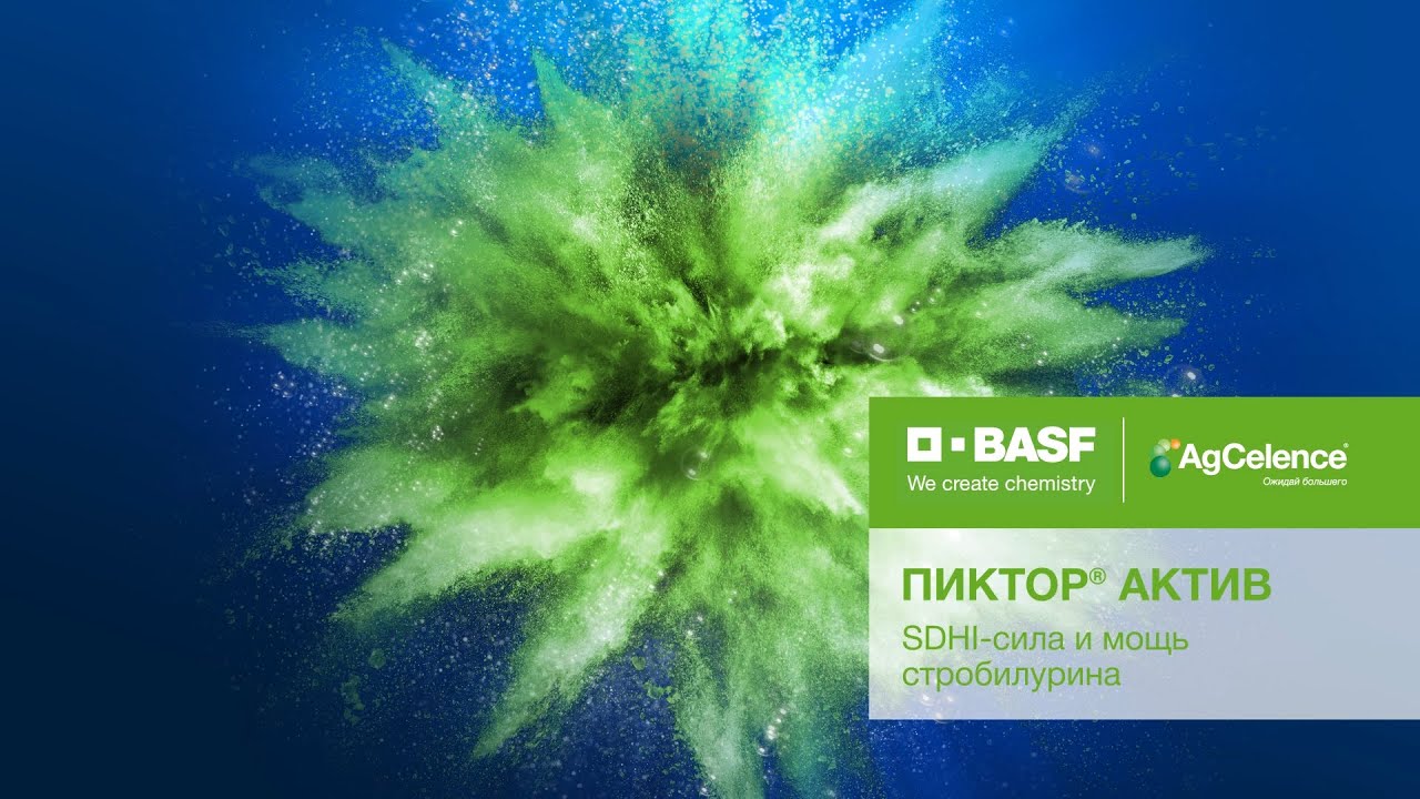 ПИКТОР&reg; АКТИВ. SDHI-сила и мощь стробилурина.