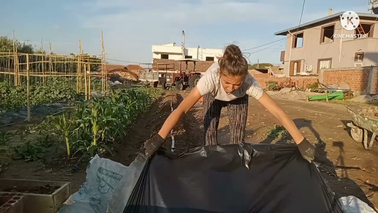 SEBZE YATAĞI YAPIMI MALÇLAMA VE TOHUM ATMA