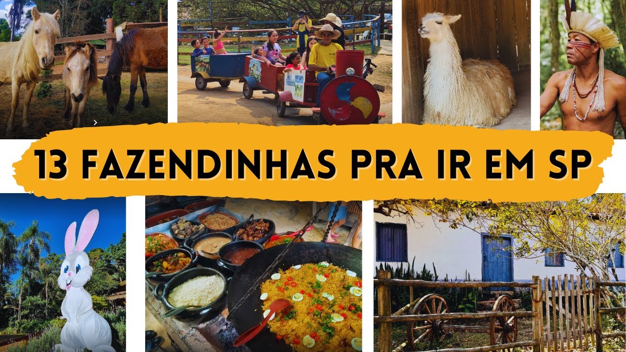 MELHORES FAZENDINHAS
