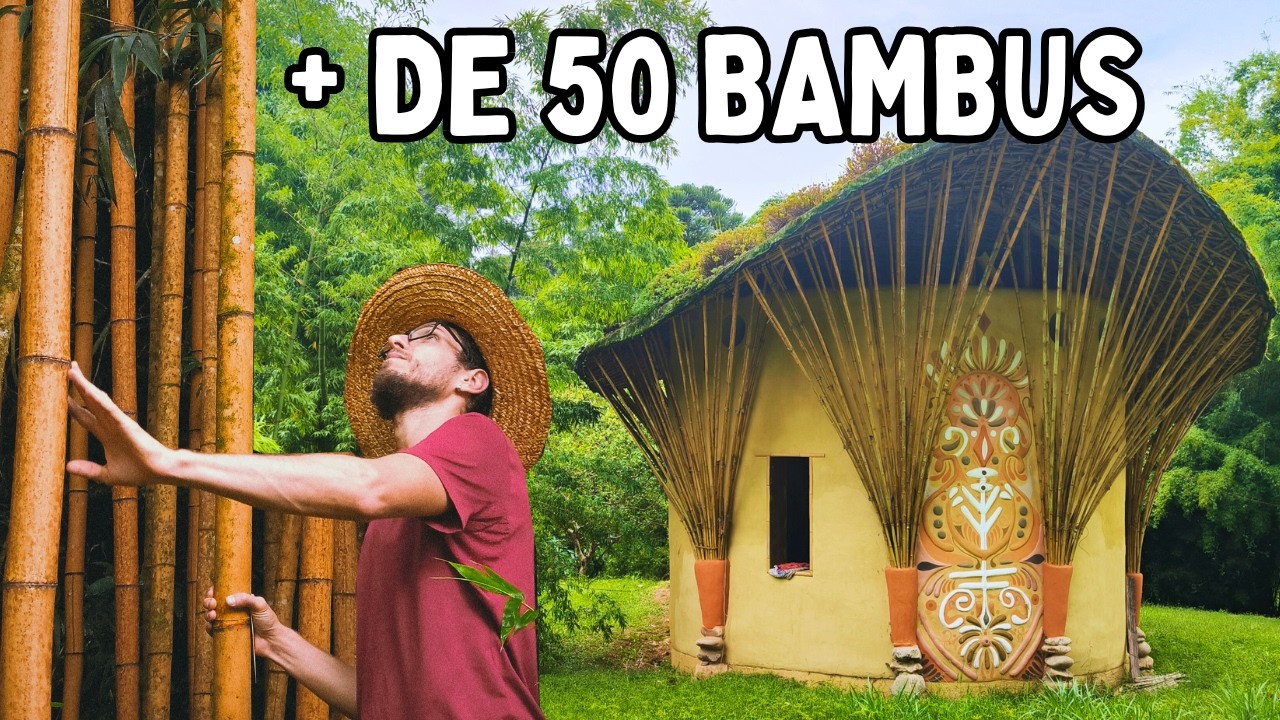ESCOLA DE BAMBU e Bioarquitetura - EBIOBAMBU