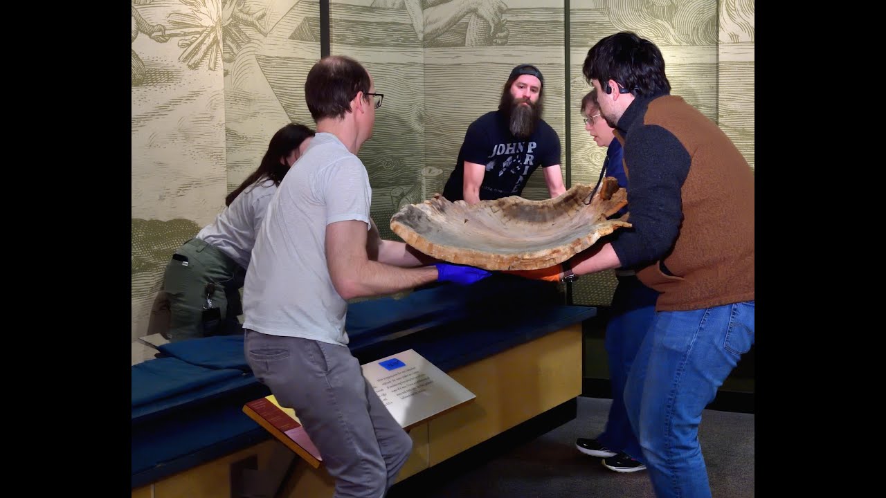 Behind the Scenes: Dugout Canoe Removal