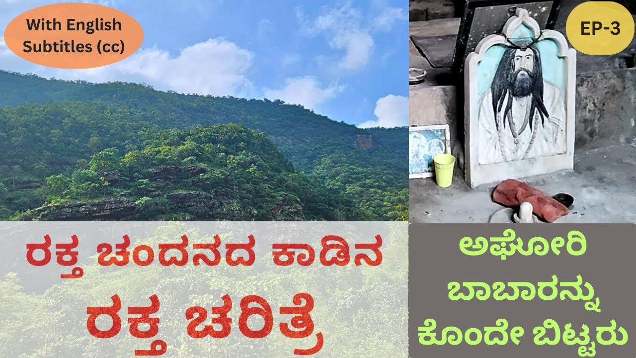 ರಕ್ತ ಚಂದನದ ಕಾಡಿನ ರಕ್ತ ಚರಿತ್ರೆ | ಈ ಶೇಷಾಚಲಂ ಬೆಟ್ಟ ಪೂರ್ತಿ ಇಳಿಸಿಬಿಡ್ತು| Sesha Chalam Forest Trek | EP-3