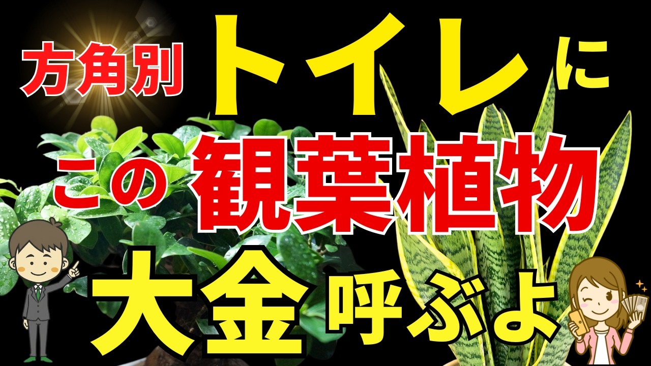 【トイレで金運アップ】方位別の最強観葉植物を風水アドバイザーが解説