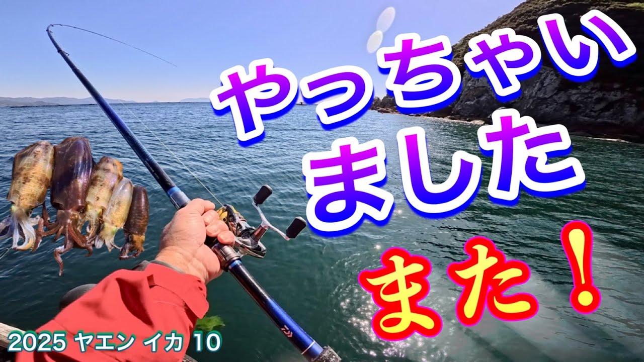 2025 ヤエン（イカ）10　【やっちゃいました　また！】