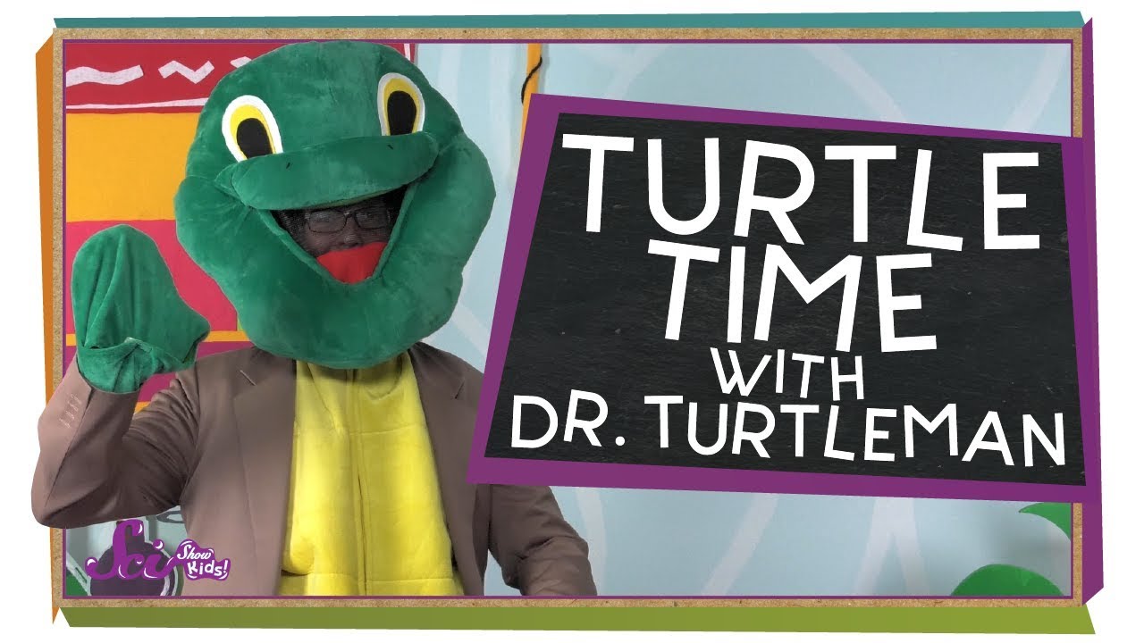 Turtle Time with Dr. Turtleman!