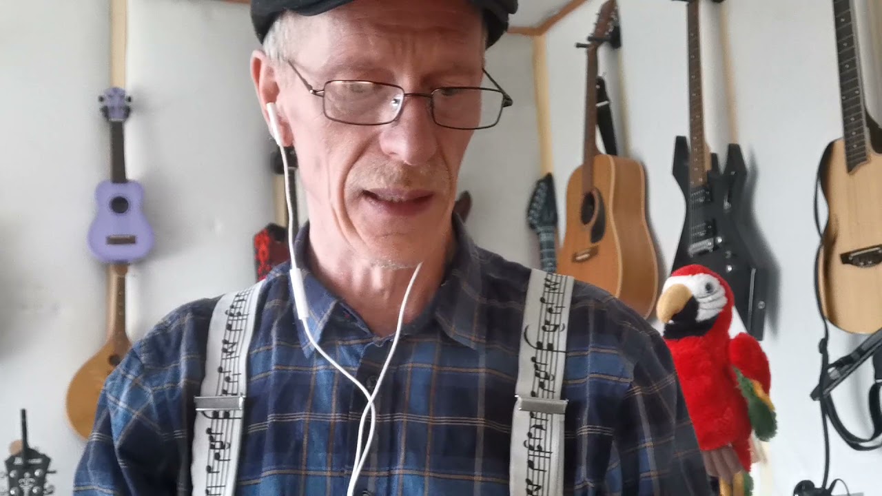 Nun will der Lenz uns grüßen - Volkslied - hier gespielt von der ONE-MAN-LOCKDOWN-BAND