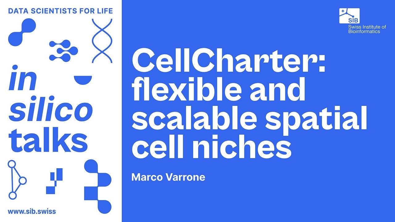 CellCharter: flexible and scalable spatial cell niches