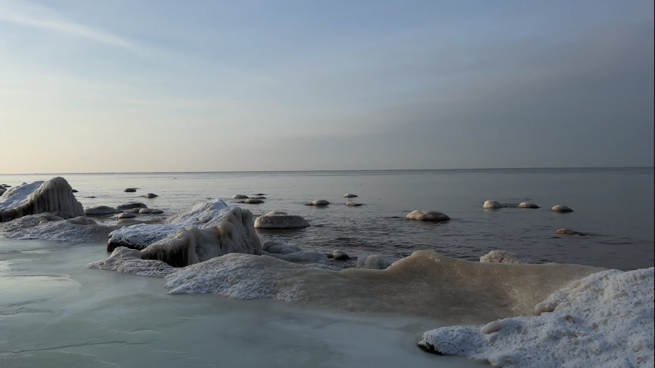 Frozen Winter Ocean 🌊❄️ Calm Icy Waves & Snow | Deep Sleep, Relax, Study (LIVE)