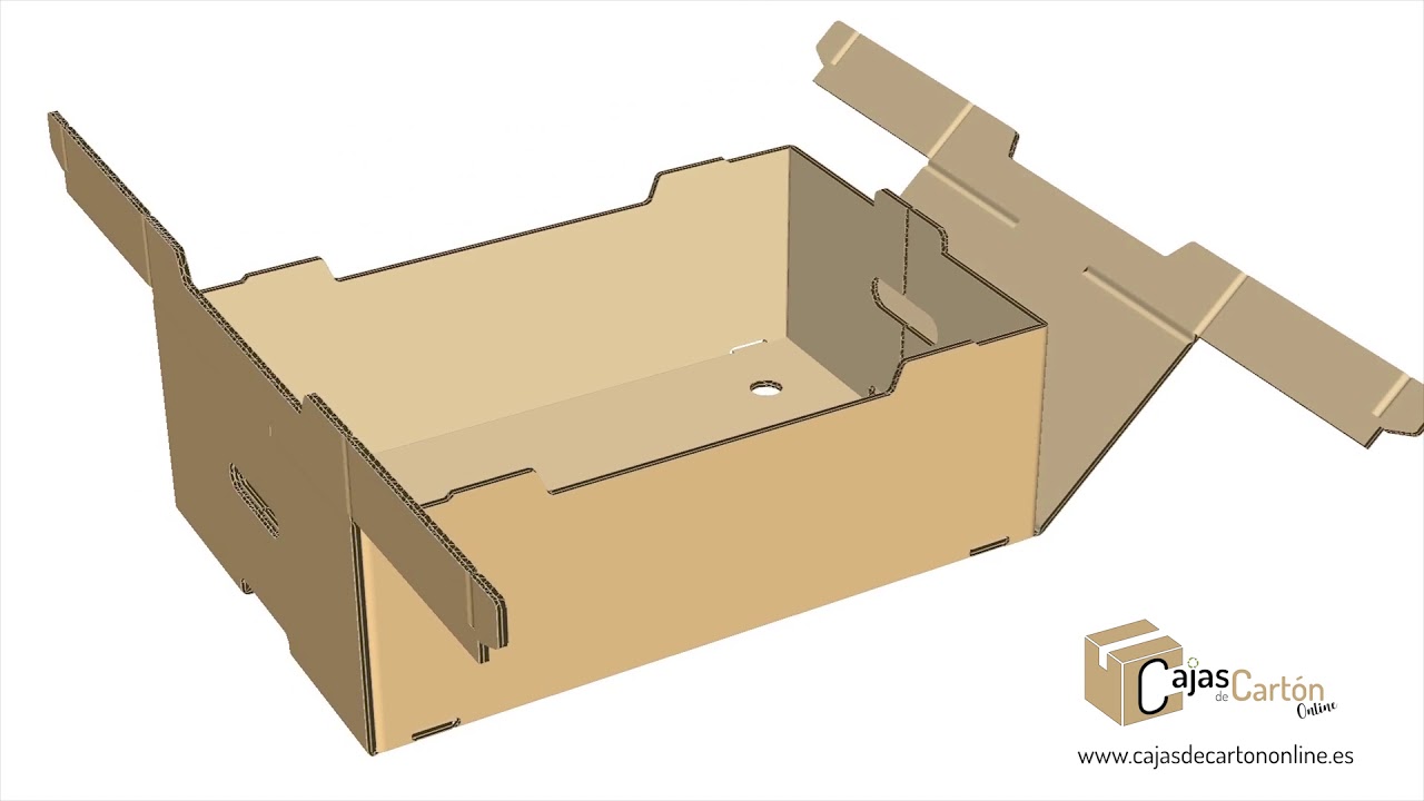 Montaje Caja de cartón para frutas y hortalizas