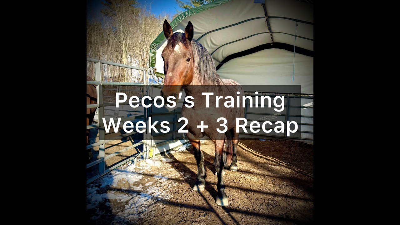 Pecos Weeks 2 & 3