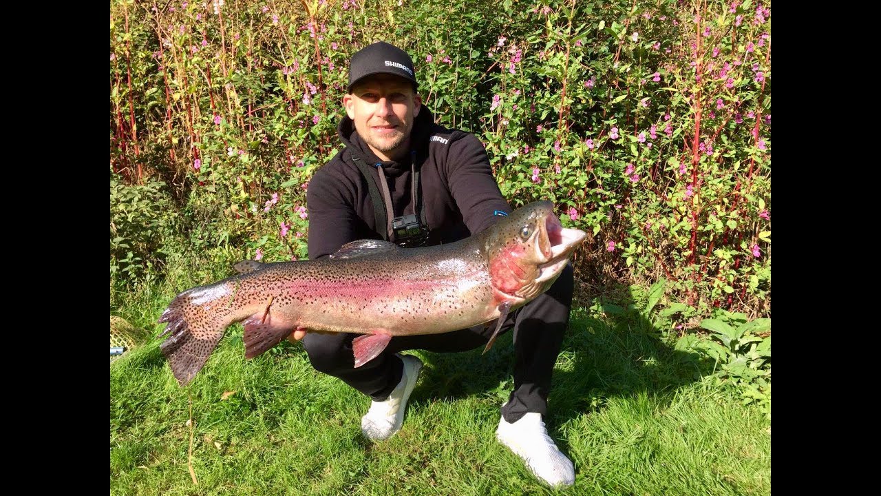 4 Kg Lachsforelle In Steinbachtal   