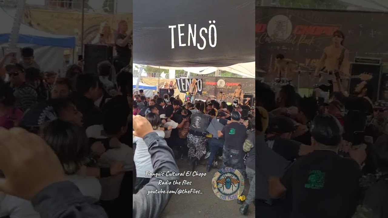 tenso en el chopo #punk  #shorts  #mexico