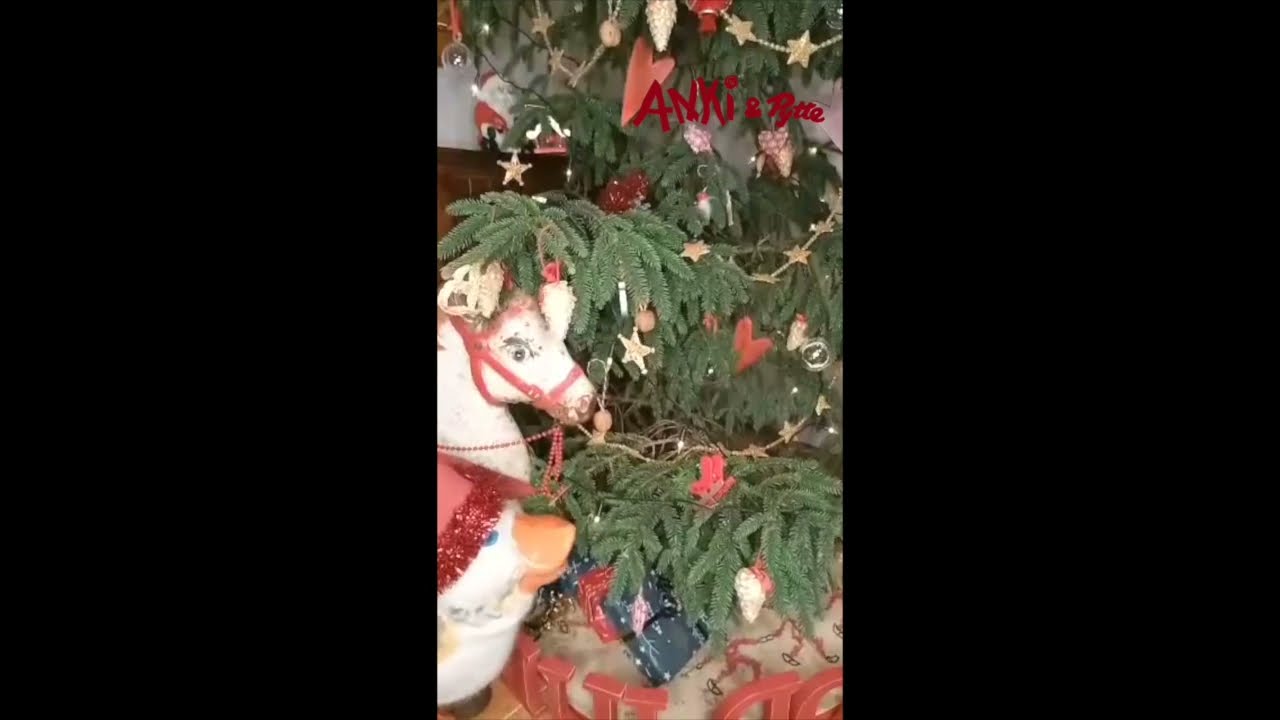 God Jul från Anki och Pytte!✨