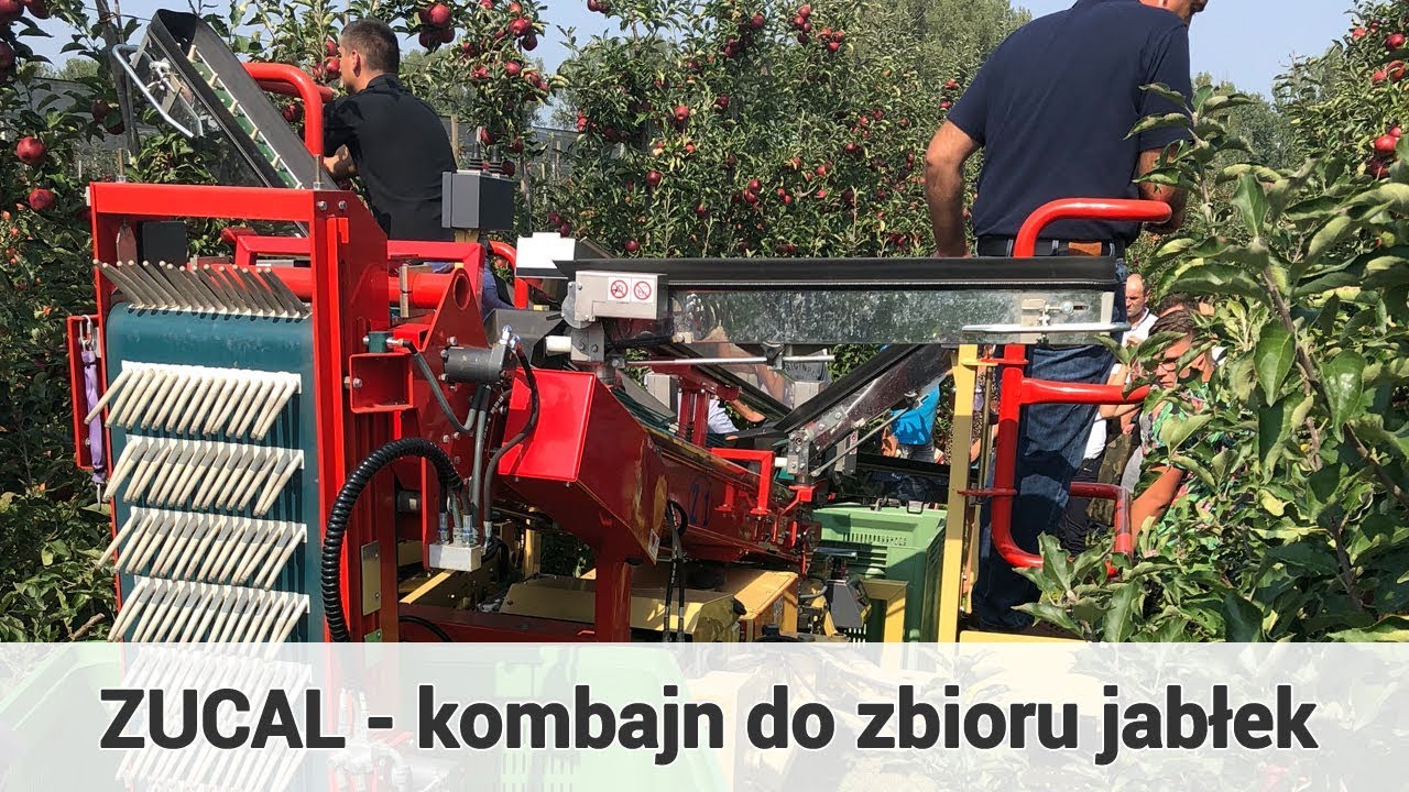 ZUCAL - kombajn do zbioru jabłek