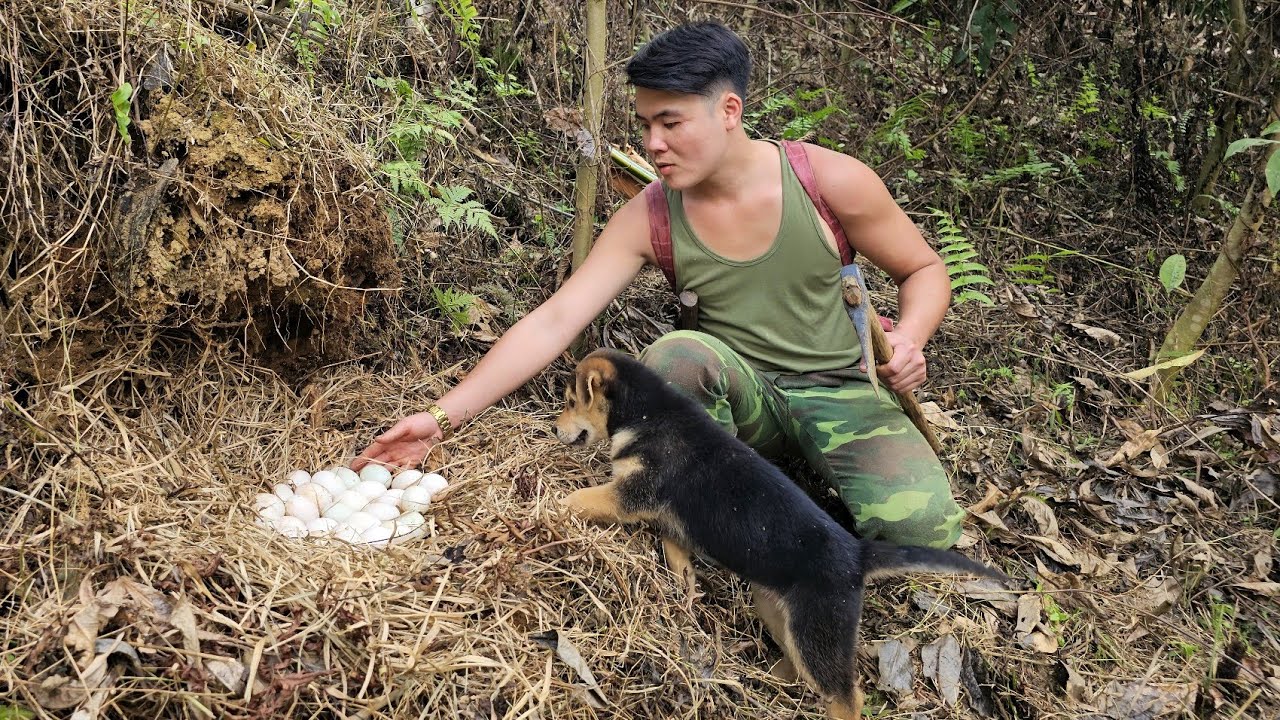 Full video: Young CEO leaves city to build an independent life in the forest.
