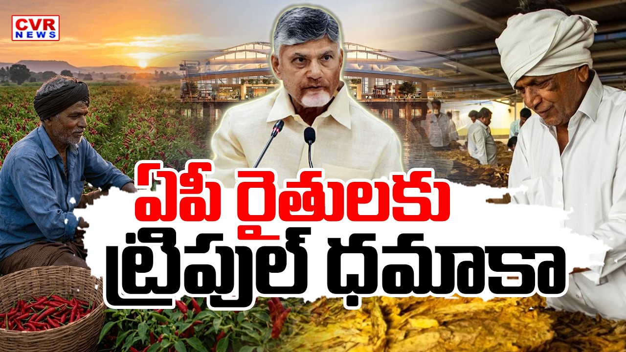 CVR Special Drive To AP Government Triple Good News To Farmers || CM Chandrababu || CVR News