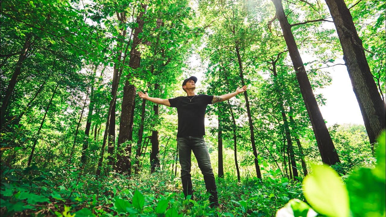 Я, дерево и Река.