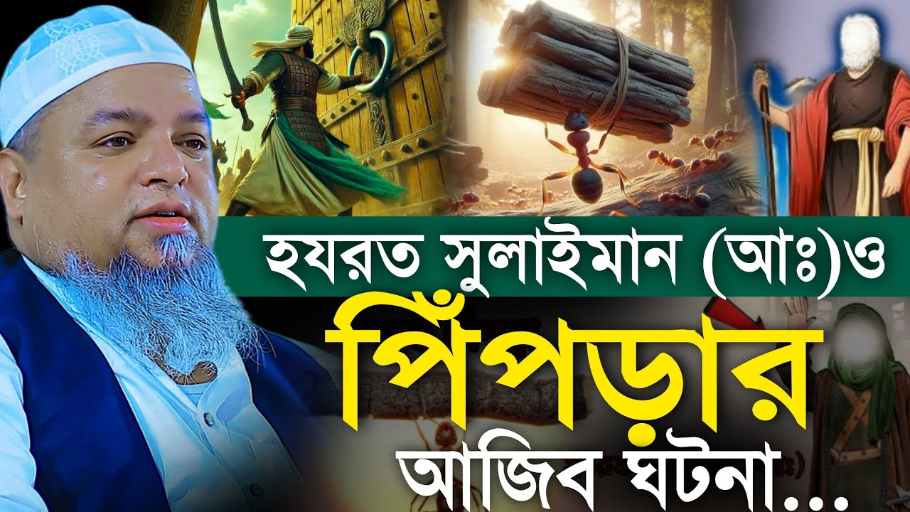 সুলাইমান আঃ পিঁপড়ার ঘটনা। Khaled Saifullah Ayubi 2025। খালেদ সাইফুল্লাহ আইয়ুবী নতুন ওয়াজ
