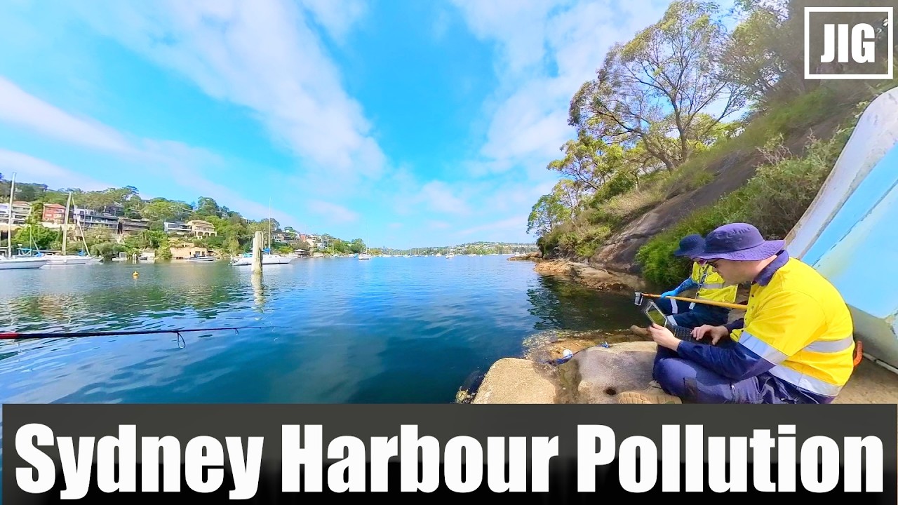 Sydney Shore Jigging | Fishing Australia