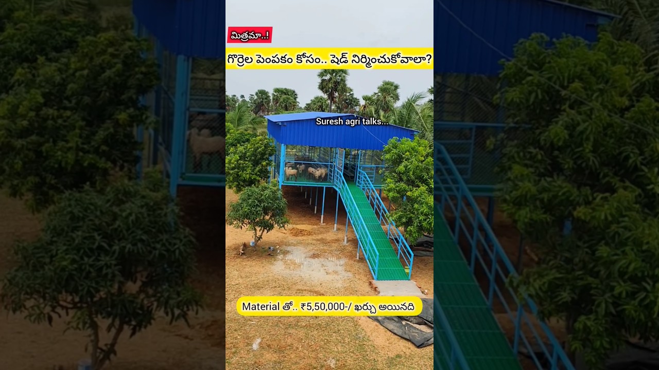 #sheep Elevated shed.. cost ₹5,50,000#viralvideo #trending